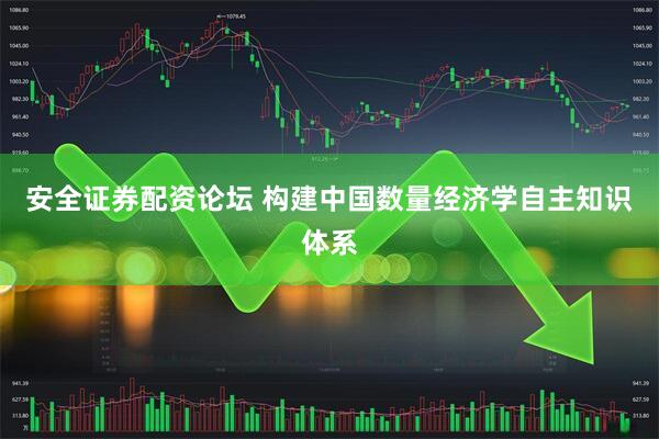 安全证券配资论坛 构建中国数量经济学自主知识体系